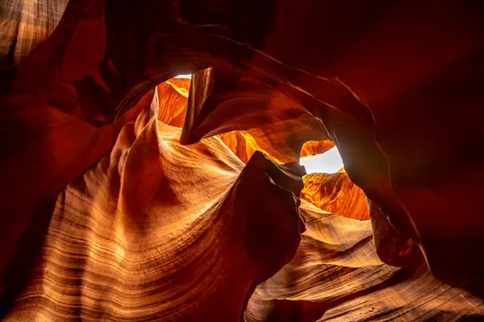 问鼎娱乐社区活动精彩瞬间